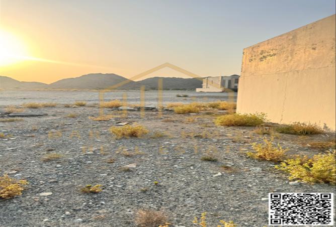 13987009 - صورة العقار 2