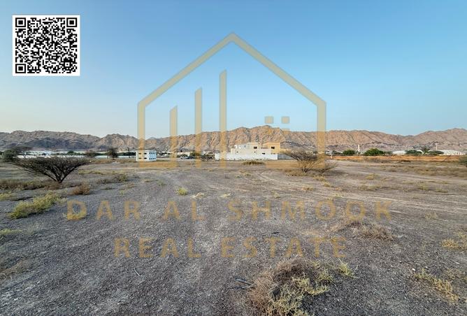 13987052 - صورة العقار 3