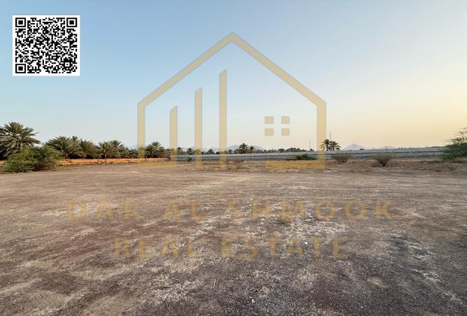 13987052 - صورة العقار 2