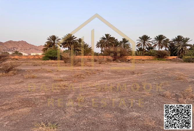 13990438 - صورة العقار 2