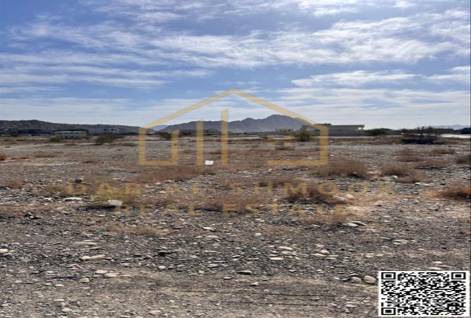 14031341 - صورة العقار 2