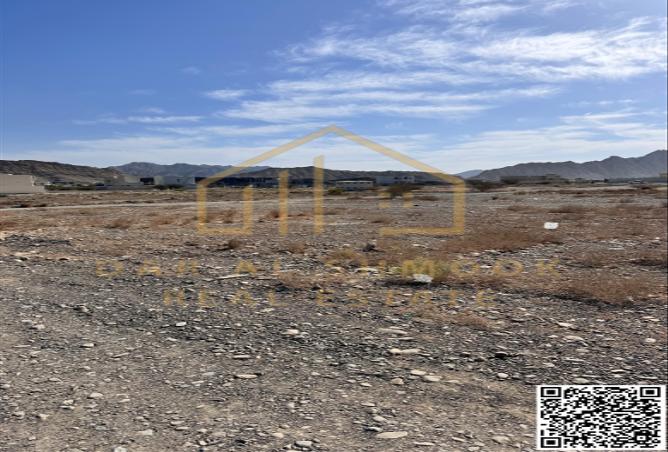 14031341 - صورة العقار 3