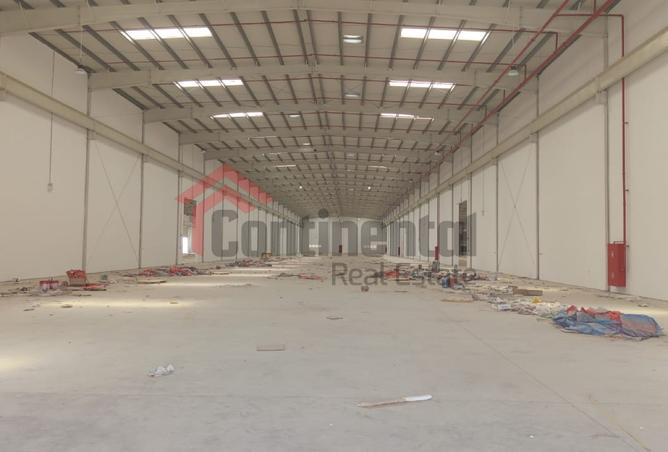 14035896 - صورة العقار 2