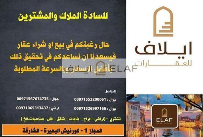 12884353 - صورة العقار 3