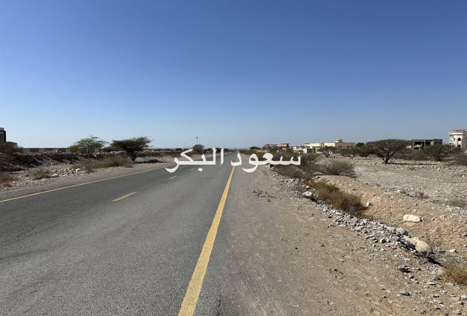 87897706 - صورة العقار 2