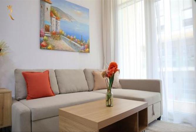 13665830 - Property Image 3