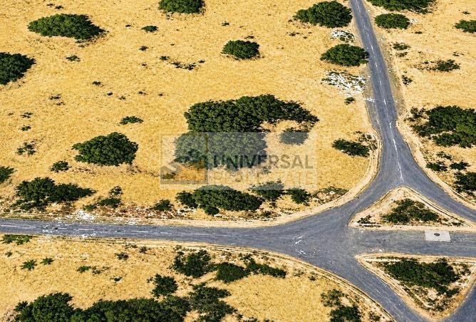 12439214 - Property Image 2