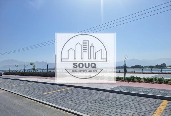 12986489 - صورة العقار 2