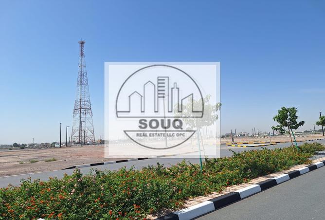 13560981 - صورة العقار 3