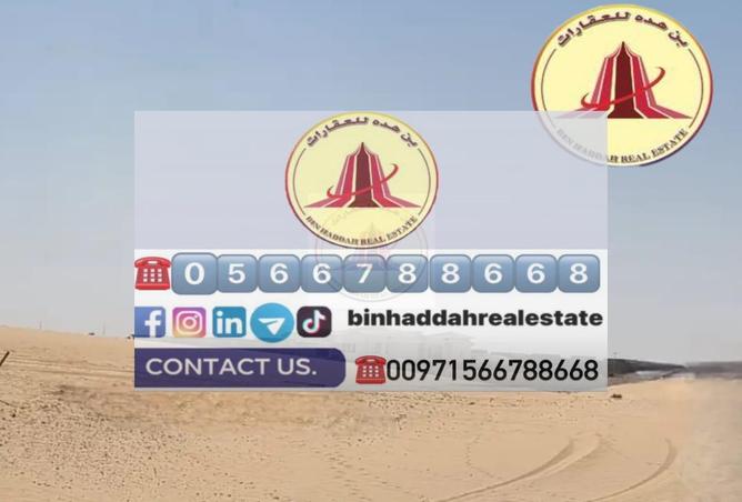 12655736 - Property Image 3