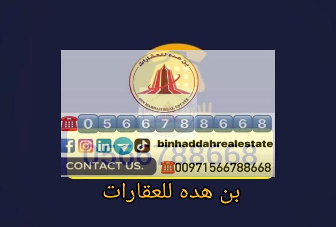 13149685 - Property Image 3