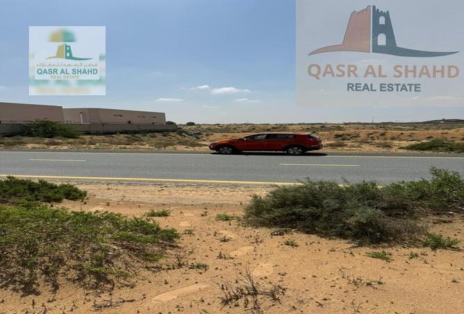 12025324 - صورة العقار 3