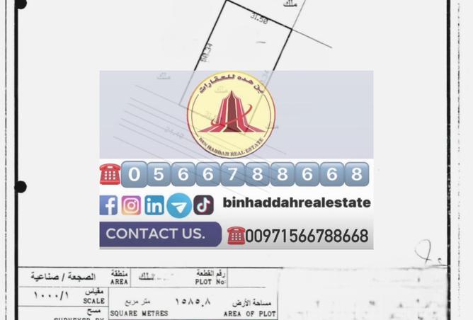 14070541 - Property Image 3