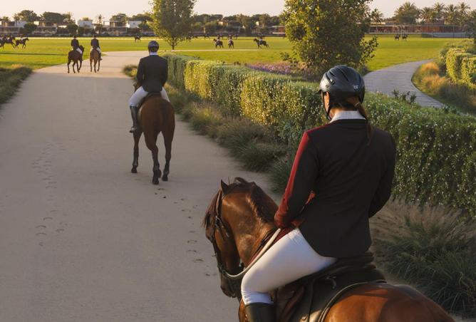 14123227 - صورة العقار 3