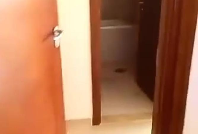 14132912 - Property Image 3