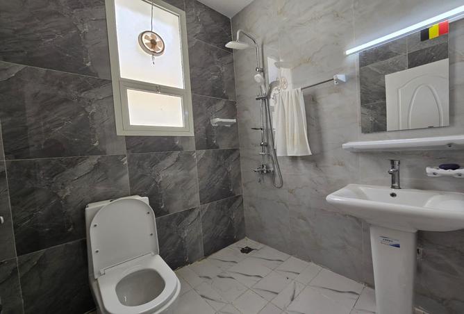 12048296 - صورة العقار 3