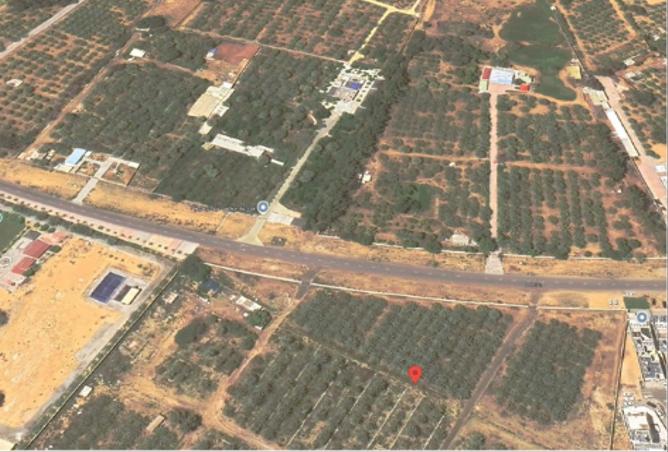 12787618 - صورة العقار 3