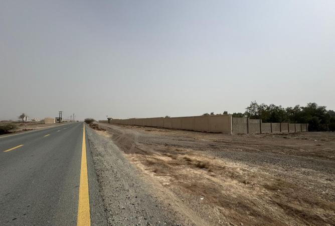 13126511 - صورة العقار 3