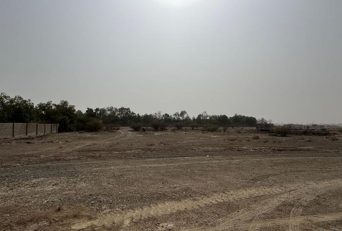 13126511 - صورة العقار 2