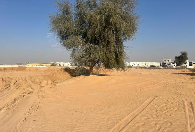 13852392 - صورة العقار 3