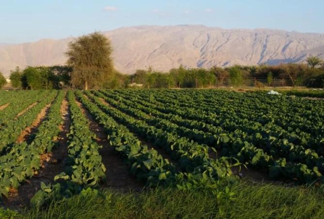 56131596 - Property Main Image