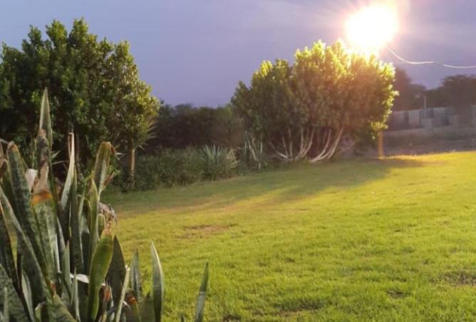 56131596 - Property Image 2