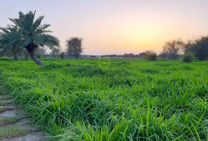 15694387 - صورة العقار 3