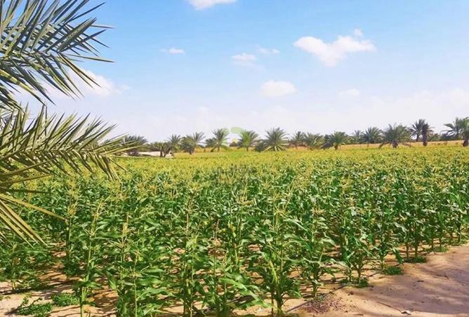 15694387 - الصورة الرئيسية للعقار