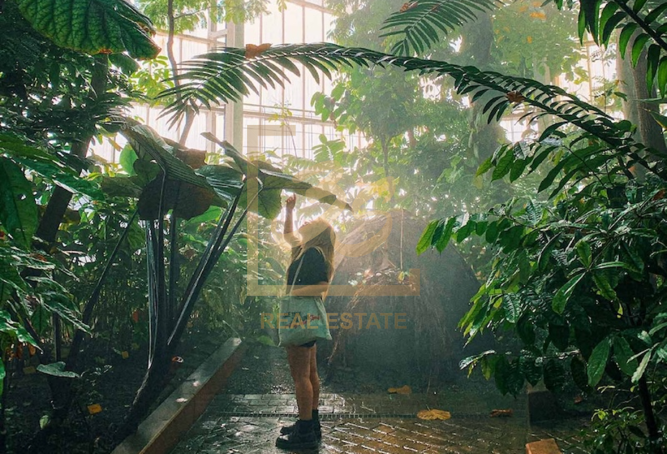 Luxurious Mansion | Huge Plot | Exclusive by 266909 