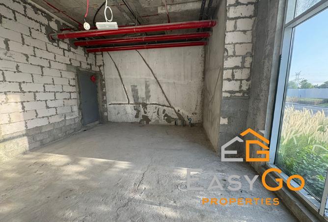 14251161 - صورة العقار 2