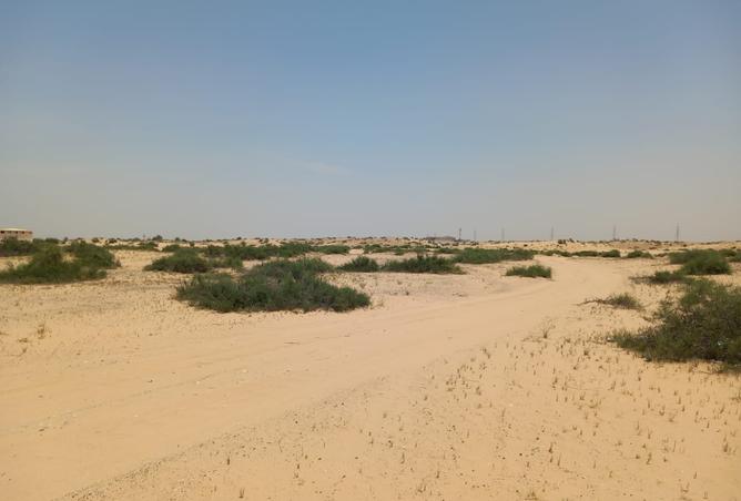 14257753 - Property Image 3