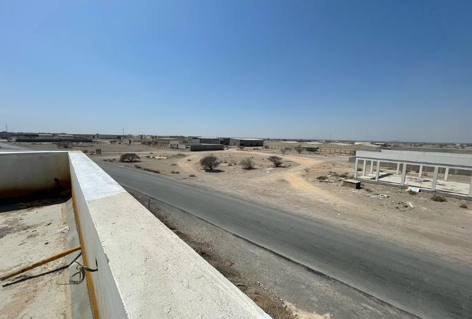 14259834 - Property Image 3