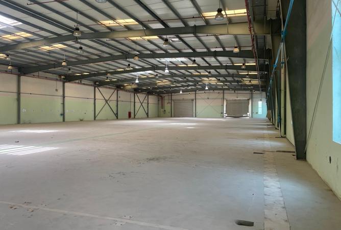 14284674 - صورة العقار 3