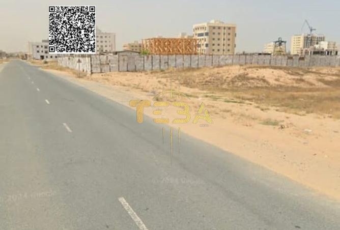 14290667 - Property Image 3