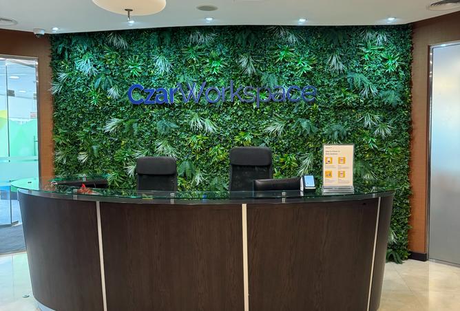 14295856 - Property Image 3