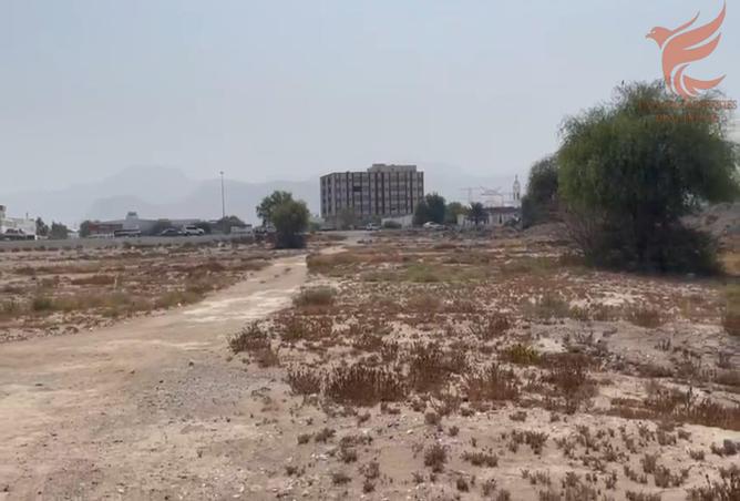 12302903 - صورة العقار 3