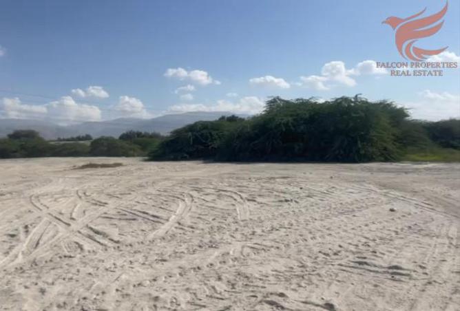 14178094 - الصورة الرئيسية للعقار