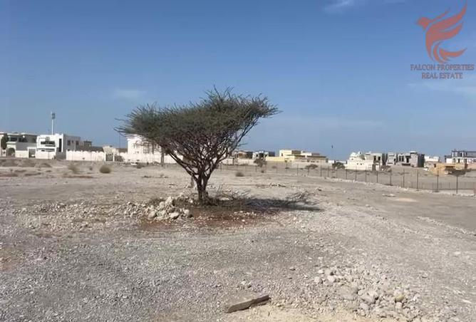 14178110 - صورة العقار 3