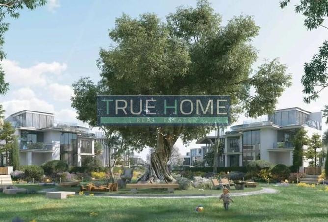 14074639 - Property Image 3