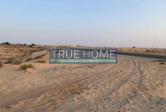 14310195 - Property Image 3