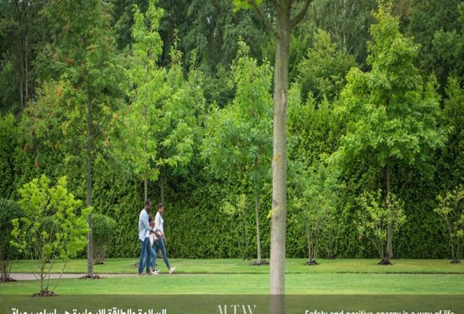 14359523 - Property Image 2