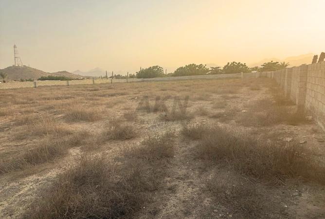 14365962 - صورة العقار 3