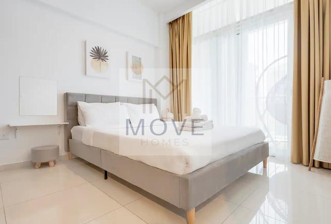 16243479 - Property Image 3