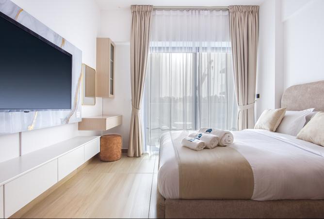 62456065 - Property Image 2