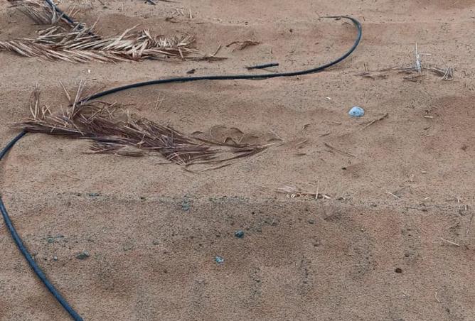 14461987 - الصورة الرئيسية للعقار