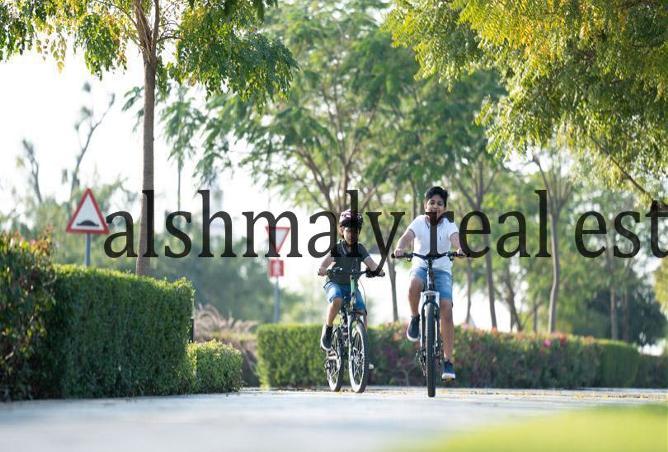 15289241 - صورة العقار 2