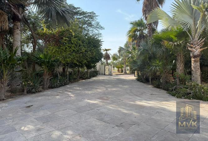 78193883 - صورة العقار 2