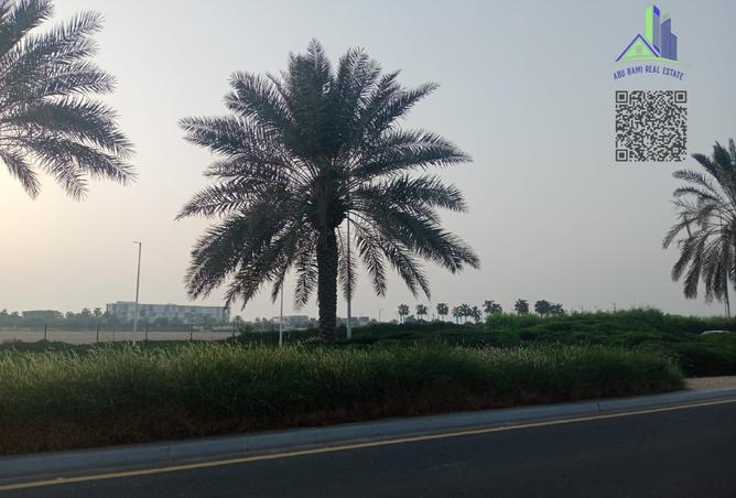 14557793 - Property Image 3