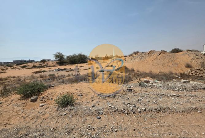 14559564 - Property Image 3