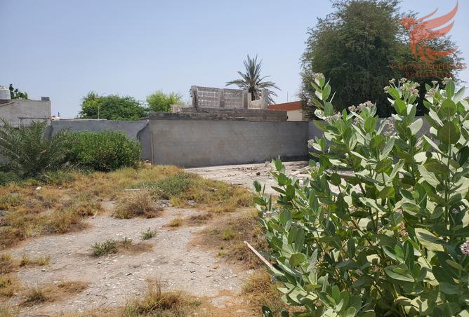 14568649 - صورة العقار 2